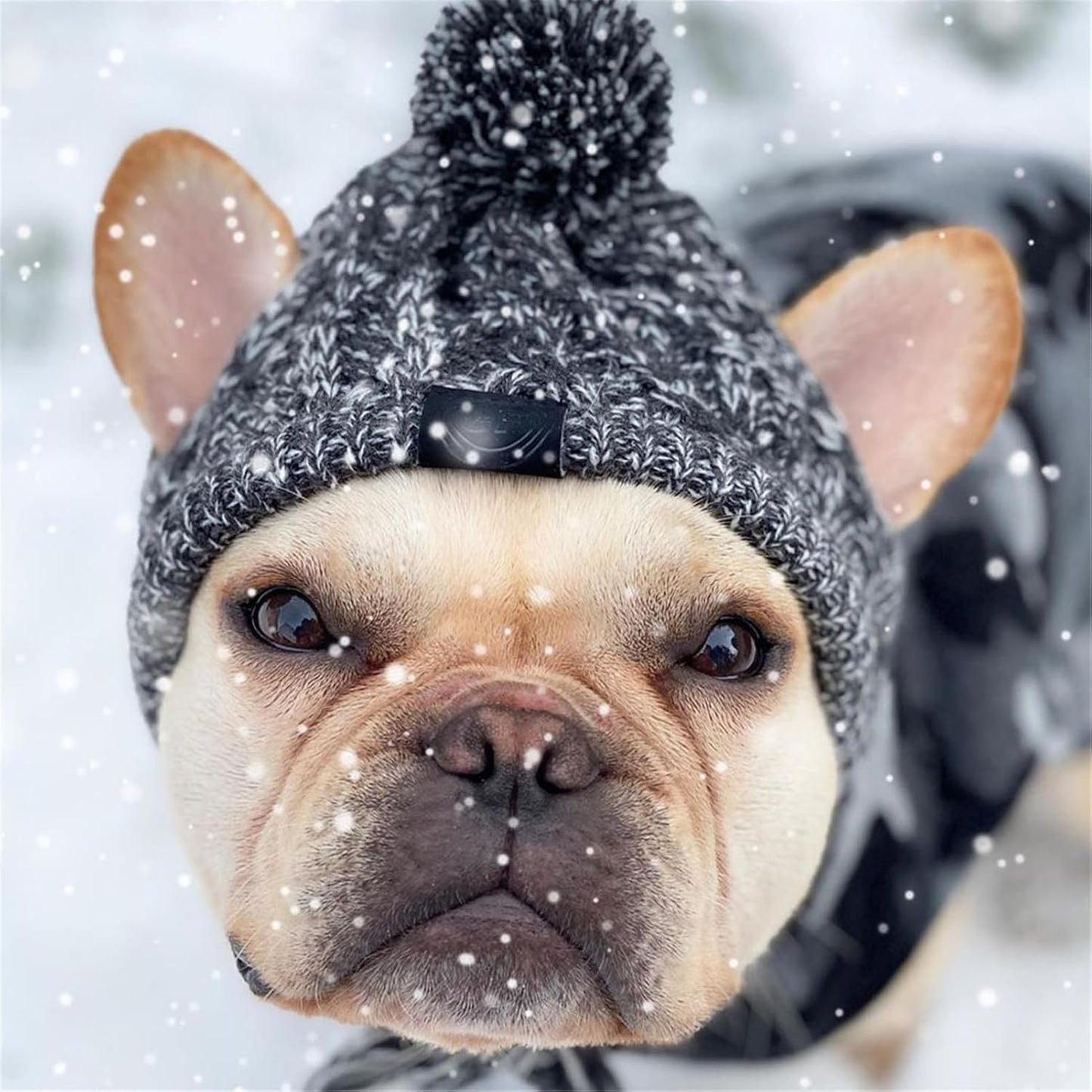 Woolly Beanie