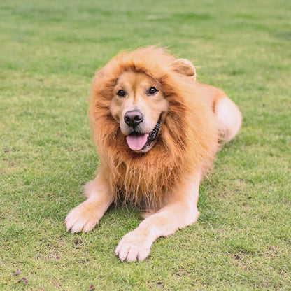 Lion Mane Wig