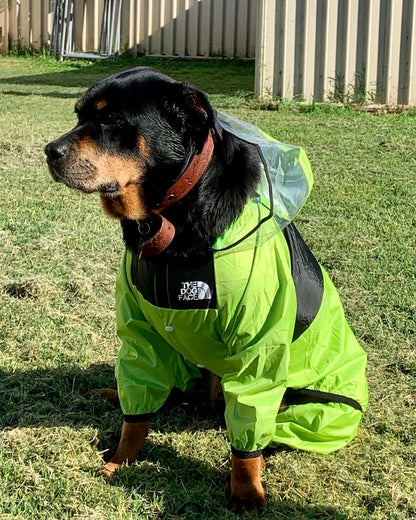 Neon Reflective Raincoat