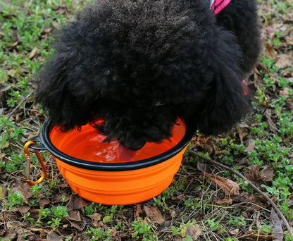 Flip&Sip Bowl