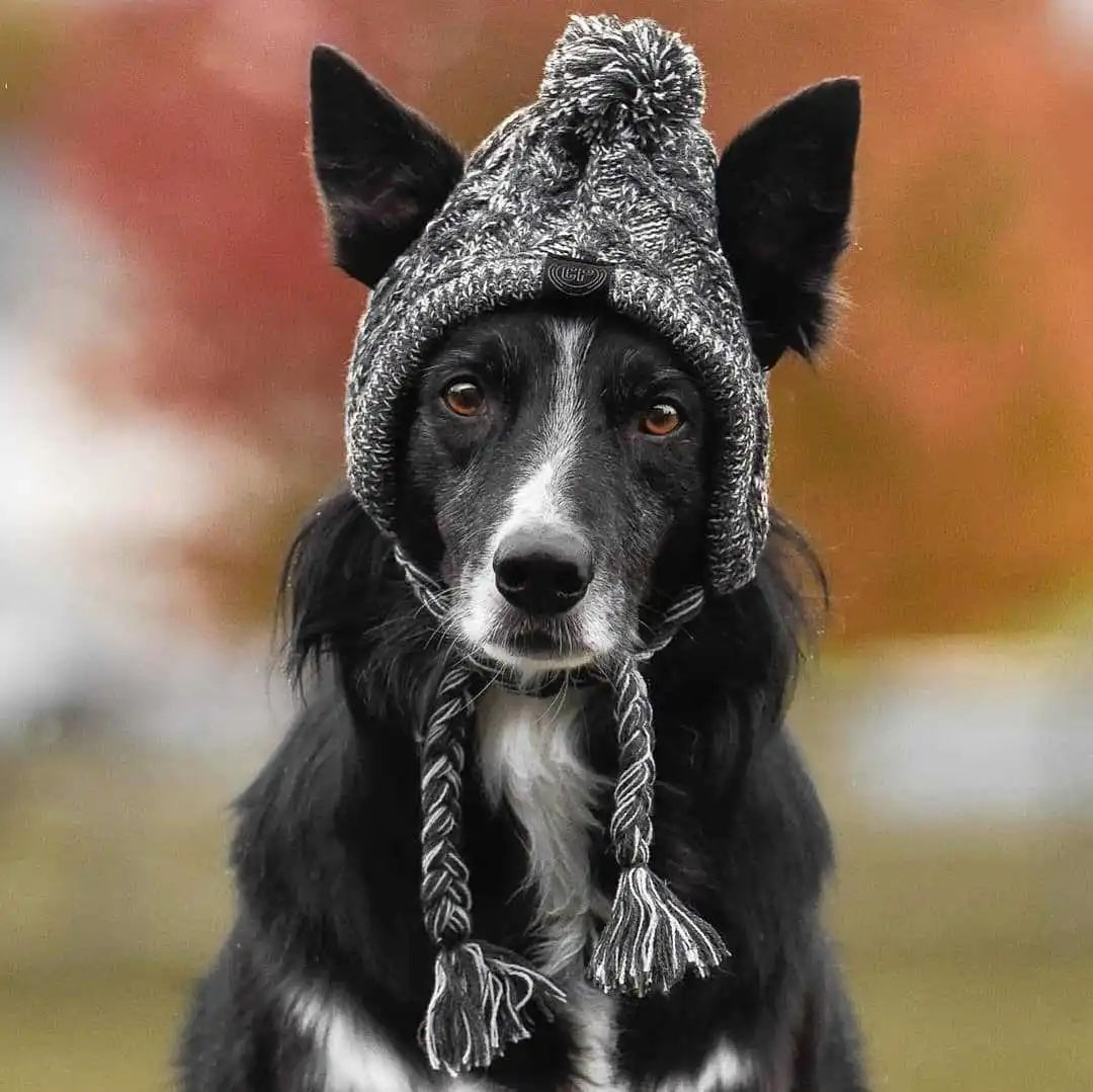 Woolly Beanie