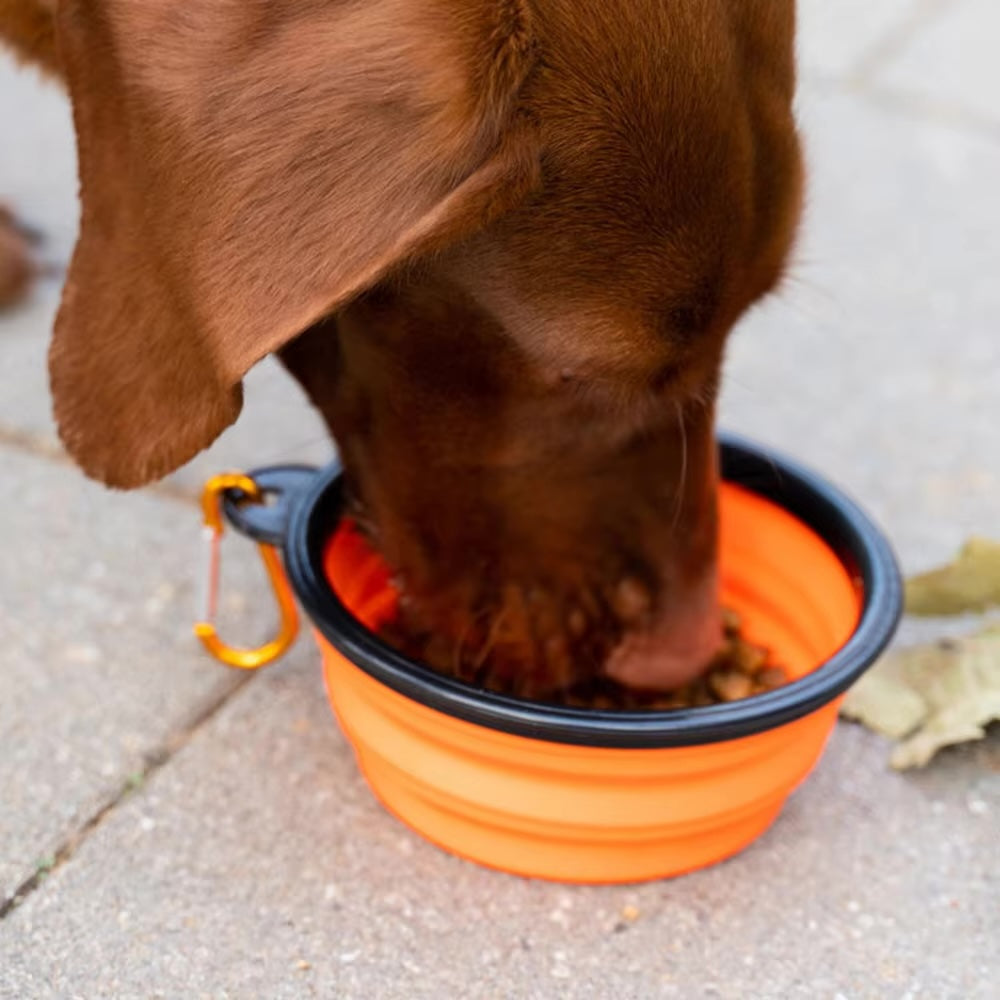 Flip&Sip Bowl