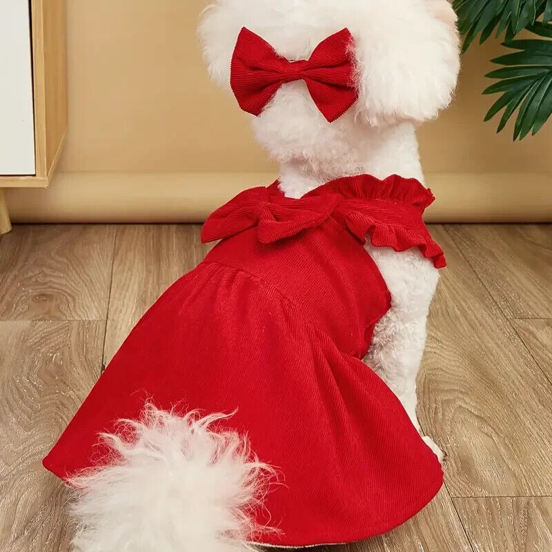 Scarlett Chic