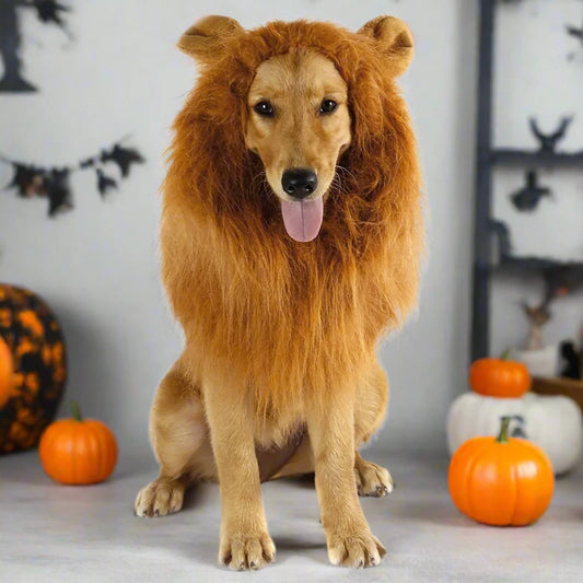 Lion Mane Wig